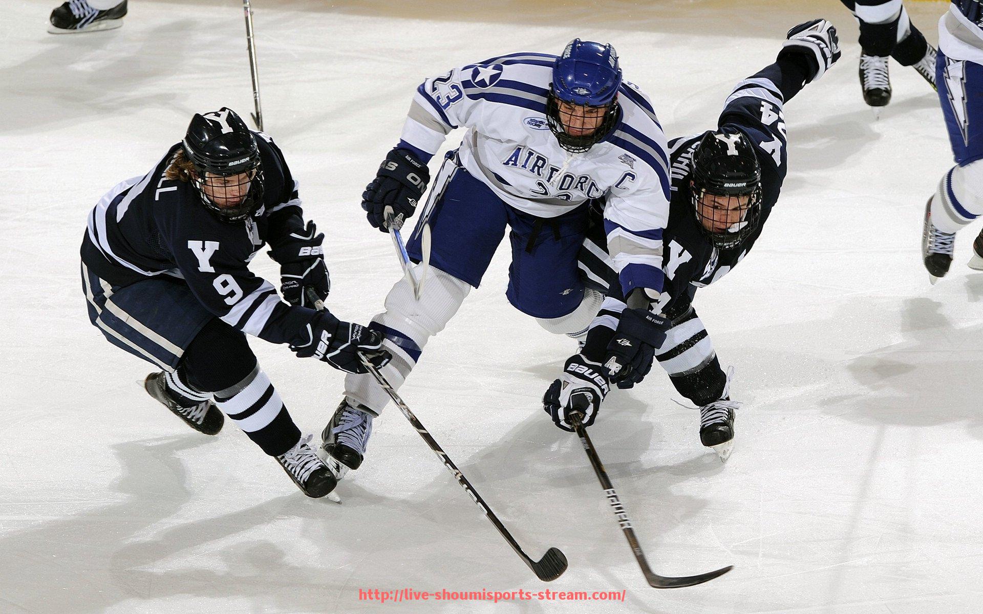 收米体育直播-世俱杯举办背景下主办城市城中村改造项目总体规划详解
