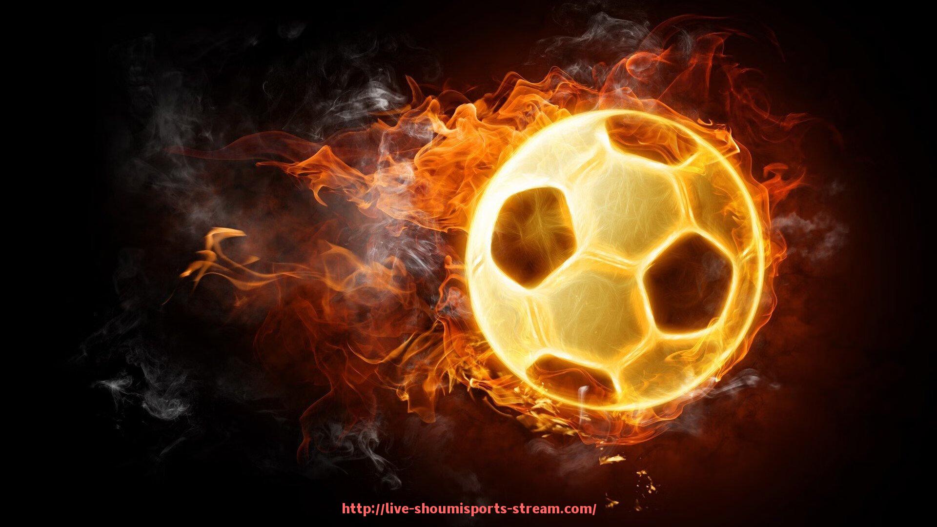 收米体育直播-哪些球队才是真正的德甲冠军?历史数据详解