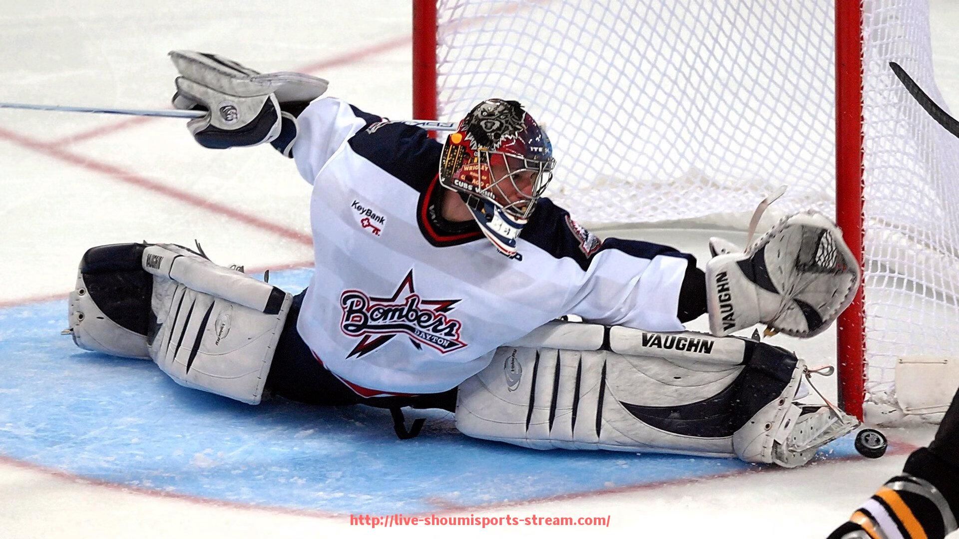 收米体育直播-法甲历史最佳射手排行榜：谁是法兰西的进球之王？